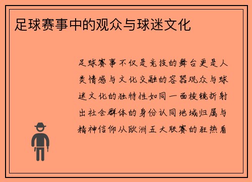 足球赛事中的观众与球迷文化